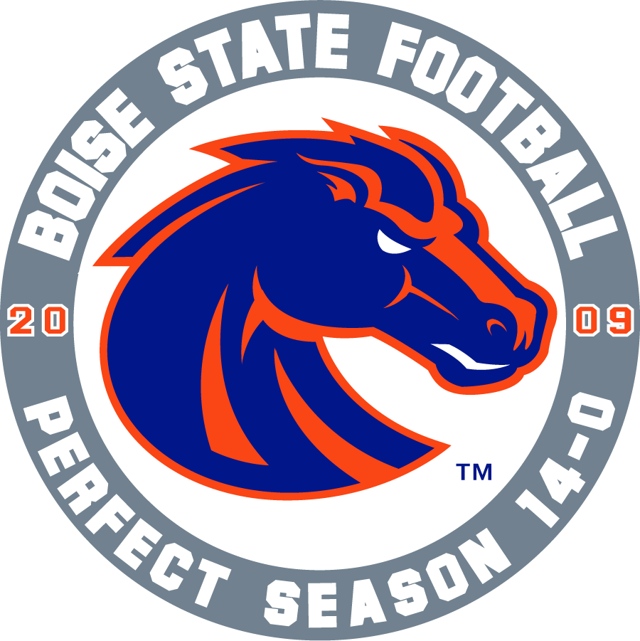 Boise State Broncos 2009 Special Event Logo iron on transfers for T-shirts